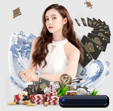 快速发展 - 市场覆盖范围大幅扩大,合作品牌阵容持续壮大,用户基数稳步增长。